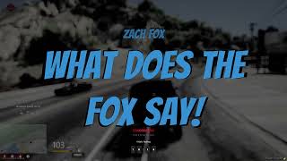 What Does the Fox Say by Zach Fox [upl. by Ynattir]