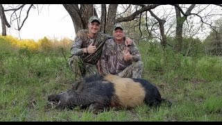 HUGE WILD BOAR IN OKLAHOMA PLINKSTER OUTDOORS [upl. by Evangelin]