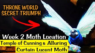 Destiny 2  Lepidopterist Triumph  Week 2 Lucent Moth Locations [upl. by Pronty761]