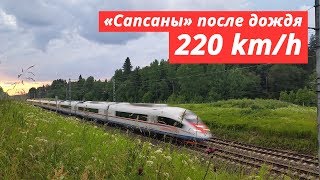 «Sapsan» trains after the rain 200 — 220 kmh [upl. by Yelhak]