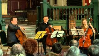 DOTZAUER Pieces for Three Cellos op104 Harwood  Tal  Zlotnikov [upl. by Neehcas]