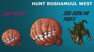 Tibia Team Hunt EKED 250  Roshamuul West [upl. by Akihdar117]