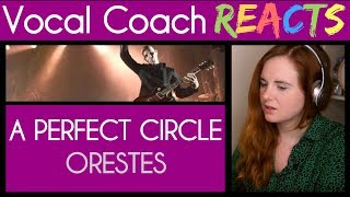 Vocal Coach reacts to A Perfect Circle  Orestes  Stone and Echo Maynard James Keenan [upl. by Conley]