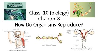 CBSE Class 10 Science Chapter 8 How Do Organisms Reproduce  Complete Guide [upl. by Witcher]