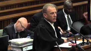 Pistorius Trial Youre not doing yourself any favours  Nel to Pistorius [upl. by Finlay]