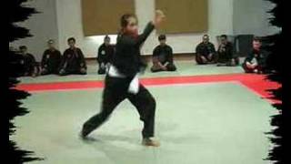 Trailer from the seminar with the Indonesian Team 2007 Mpeg2 [upl. by Yelreveb]