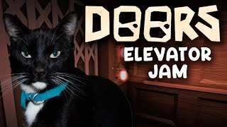 DOORS Roblox Elevator Jam Versión Gato [upl. by Quinta]