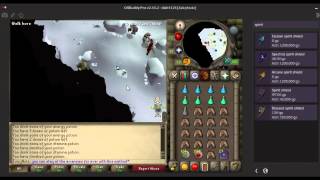 OSRS AVIANSIES WILDERNESS GUIDE GOOD CASHEXP HOUR [upl. by Morty]