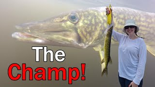 Chain Pickerel Fishing With Katie Magagaudavic Lake NB fishing fishingvideo fish chainpickerel [upl. by Ainevul]