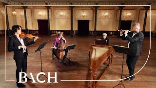 Bach  Trio Sonata from The Musical Offering BWV 1079  Netherlands Bach Society [upl. by Mueller]