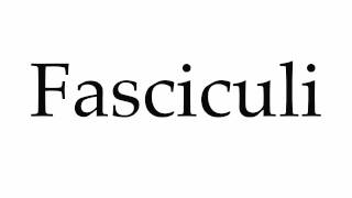 How to Pronounce Fasciculi [upl. by Enilatan]