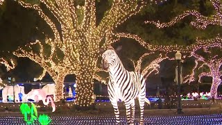 Immerse yourself in Zoo Lights magic this holiday season [upl. by Bullock]