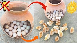 Hatch eggs without incubator 100 real video Egg incubator without electricity Sunlight hatching [upl. by Anitnegra]