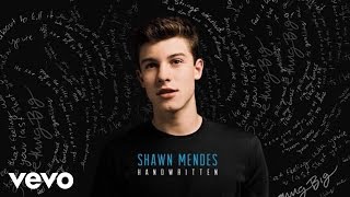 Shawn Mendes  Aftertaste Audio [upl. by Ihn]