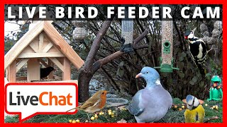 🔴247 LIVESTREAM 3  BIRDFEEDER  VOGELFUTTER STATION  FLUSSCAM BUXTEHUDE  Germany [upl. by Shane]