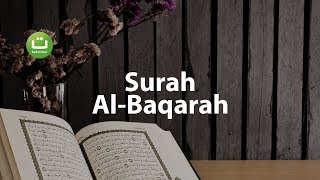 Juz 1 Surah Al Baqarah سورة البقرة  Abu Usamah ᴴᴰ  Tadabbur Daily [upl. by Oj]