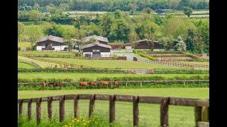 Rathbride The Curragh Co Kildare  approx 206 acres [upl. by Iht]