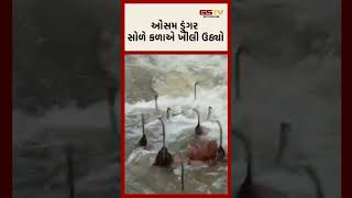 ઓસમ ડુંગર સોળે કળાએ ખીલી ઉઠ્યો [upl. by Anailil]