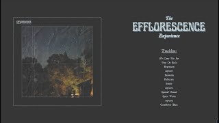 Floras Embrace  The Efflorescence Experience Full Album Premiere [upl. by Teodorico337]