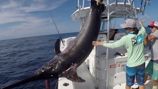 Islamorada fishing boat captain reels in 757pound swordfish [upl. by Gnot580]