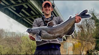 Washington DC Fishing with Artificials Early Season Potomac River [upl. by Marnia]