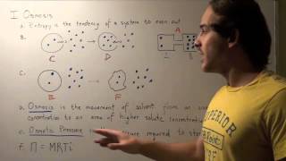 Osmosis and Osmotic Pressure [upl. by Shalom]