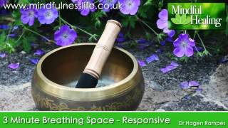 3 min breathing space responsive MBCT Breathing Space Responsive [upl. by Estele]