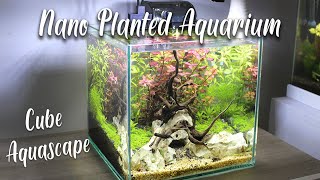 Nano Planted Aquarium  CUBE Aquascape [upl. by Eelyek416]