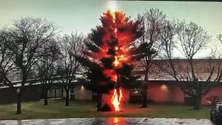 Lightning strike disintegrates tree outside Wisconsin high school [upl. by Anaujat]