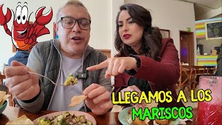 Los MARISCOS de San Miguel el Alto en Jalisco  Alma Coronel [upl. by Anomis436]