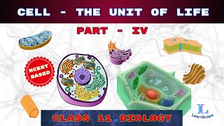 Cell  The Unit Of Life  PART  IV class 11 Biology  NCERT  COHSEM  CBSE [upl. by Bentley]