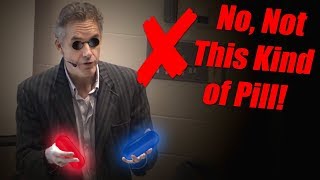 The Pill that Transformed Women  Prof Jordan Peterson [upl. by Ainekahs]