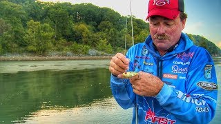 How to Work Lipless Crankbaits to Trigger Bass Anytime [upl. by Chauncey198]