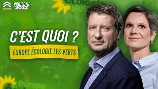 Cest quoi Europe Écologie Les Verts   Livibes Politique [upl. by Fenner813]