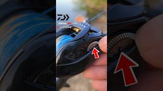 Zillion HD the flagship reel shots fishing daiwa shortvideo daiwareels daiwafishing [upl. by Ednew]