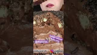 Salted Caramel ASMR chocolate pita bread cake mukbang bites only shorts viral fyp new edit fy [upl. by Clarita]