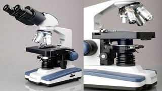 AmScope Biological Binocular Siedentopf Compound Microscope With 3D Double Layer Mechanical Stage [upl. by Michon84]