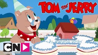 Tom amp Jerry Show I Doğum Günü I Cartoon Network Türkiye [upl. by Ellennoj]