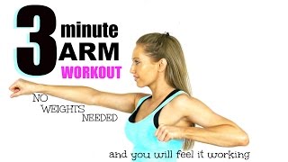 3 MINUTE ARM TONING WORKOUT  No Weights need and you will feel it working START NOW [upl. by Padraig]