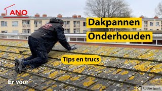 Dakpannen reinigen  Bekijk de video en leer hoe dat moet [upl. by Ihculo]