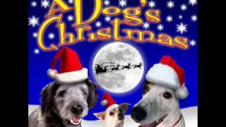 We Wish You a Merry Christmas 🎁 Barking Dogs Christmas Song [upl. by Ahsiener520]