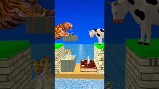 New Money vs Knowledge With Cartoon Cow vs Tiger What Do Choose Shorts Cartoon Viral [upl. by Beatrix]