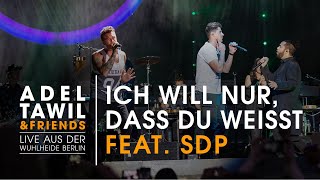 Adel Tawil feat SDP quotIch will nur dass du weißtquot Live aus der Wuhlheide Berlin [upl. by Lidia]