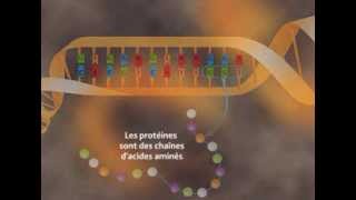 Les effets des rayonnements sur la santé [upl. by Cyrille473]