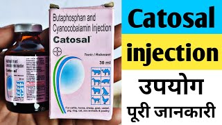 Catosal injection कौनसी बीमारी में उपयोग किया जाता है पूरी जानकारी [upl. by Jammie]