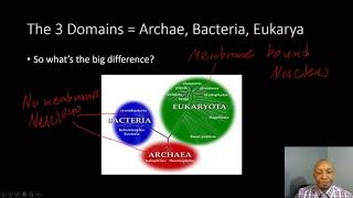 Classification Review [upl. by Oisangi543]