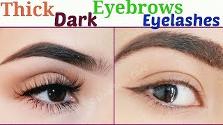 How To Grow Thicker Darker Eyebrows amp Eyelashes Fast And Naturally Grow Back Your Eyebrows Serum [upl. by Pero]