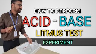 Acid Base Litmus Test Experiment  Class 7 [upl. by Gaulin]