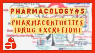 Pharmacology 5  Pharmacokinetics Drug Excretion [upl. by Akemrej]