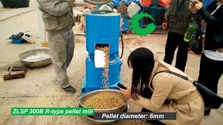 What is small pellet machine used for make biomass pellet [upl. by Ueik]